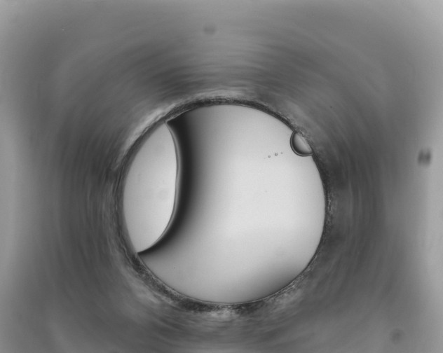 X0000091310112200708101117