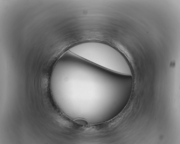 X0000091310113200708101117