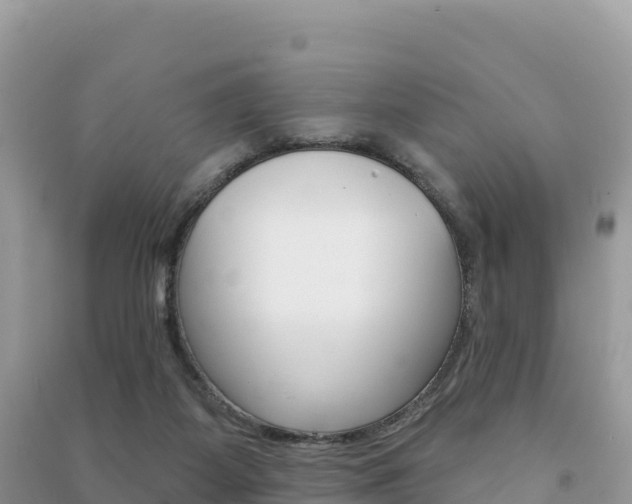 X0000091310115200708101117