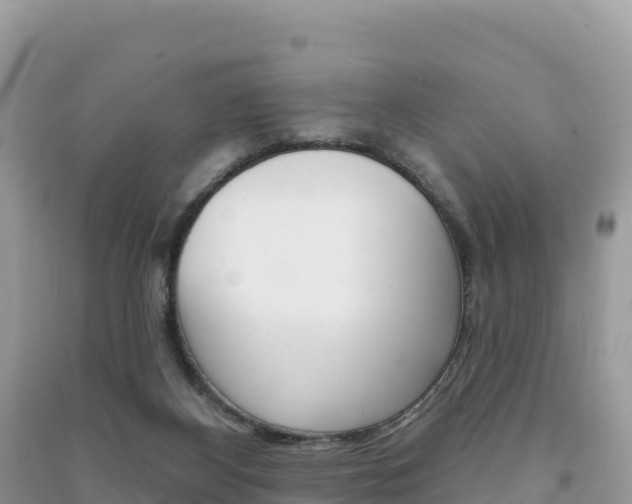 X0000091310116200708101117