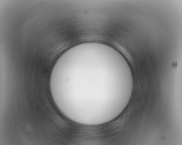 X0000091310117200708101117