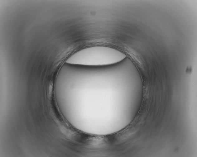 X0000091310118200708101117