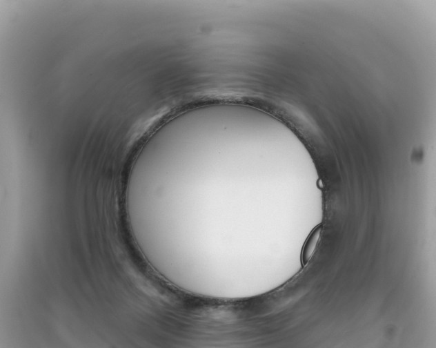 X0000091310120200708101117