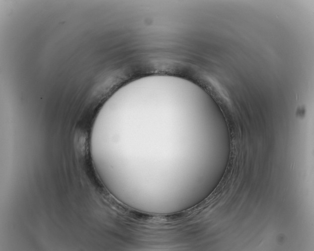 X0000091310123200708101117