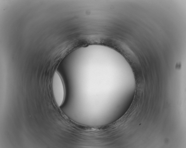 X0000091310125200708101117