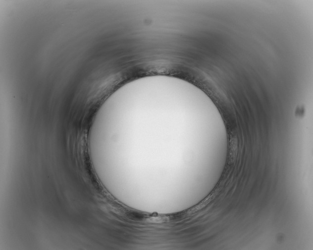 X0000091310126200708101117