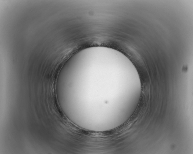 X0000091310127200708101117