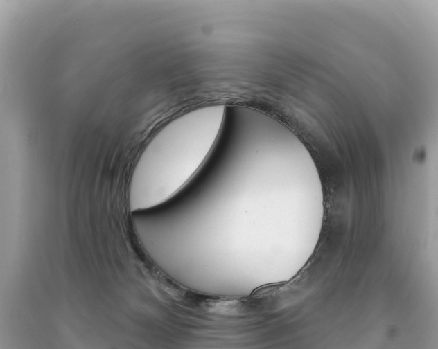 X0000091310132200708101117