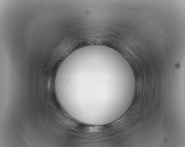 X0000091310134200708101117