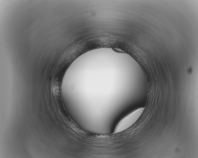 X0000091310137200708101116