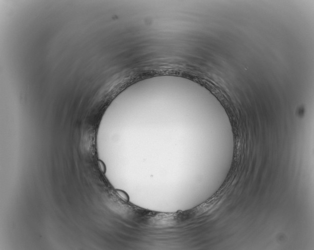 X0000091310138200708101116