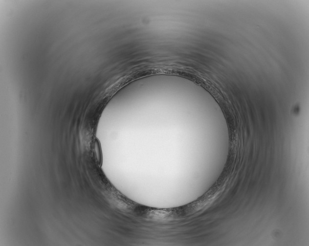 X0000091310139200708101116