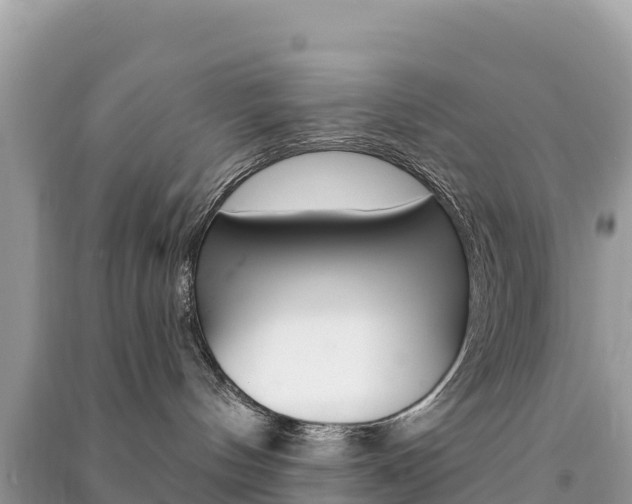 X0000091310144200708101116