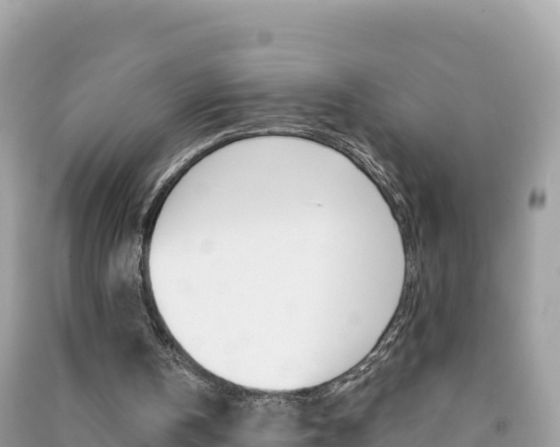 X0000091310146200708101116