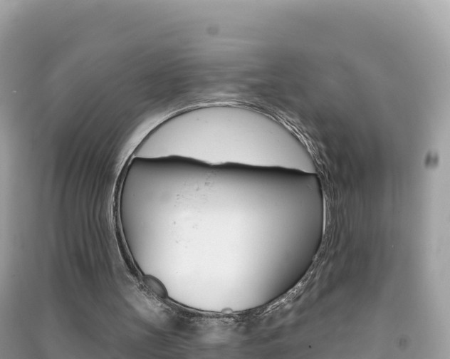 X0000091310147200708101116