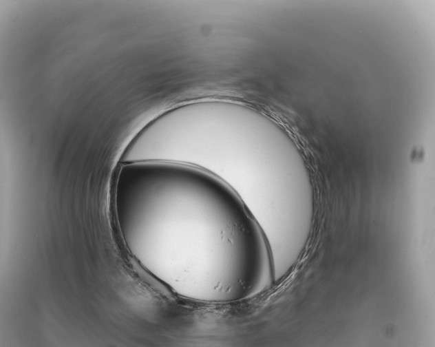 X0000091310148200708101116