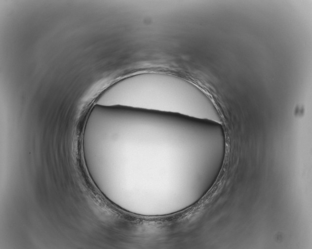 X0000091310149200708101116