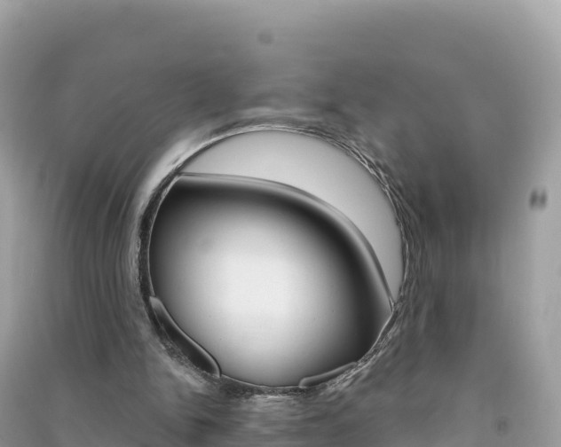X0000091310150200708101116