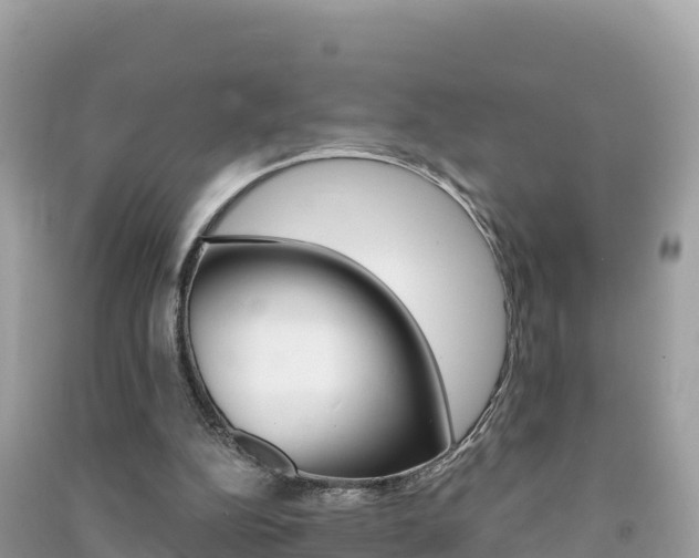 X0000091310152200708101116