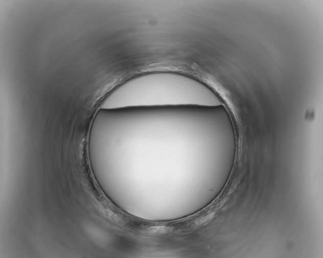 X0000091310153200708101116