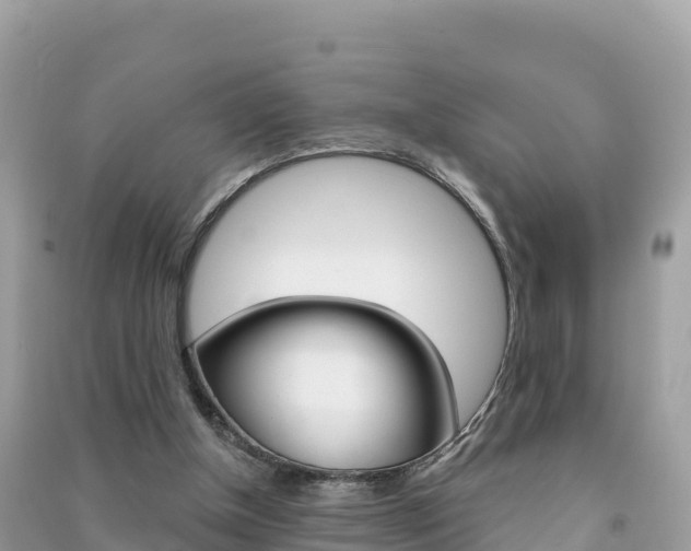 X0000091310154200708101116