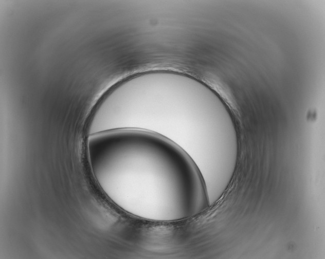 X0000091310156200708101116