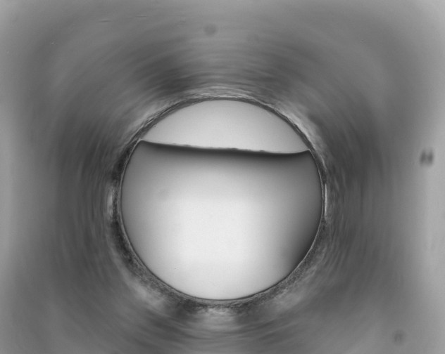 X0000091310157200708101116