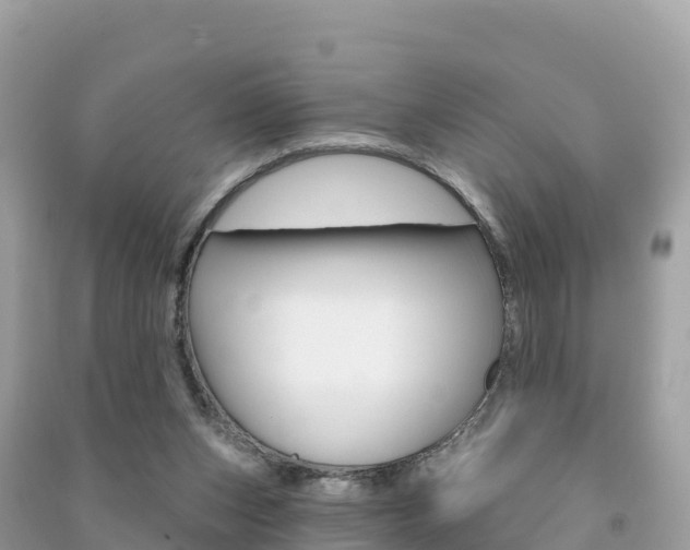 X0000091310159200708101116