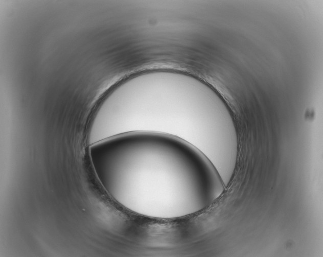 X0000091310160200708101116