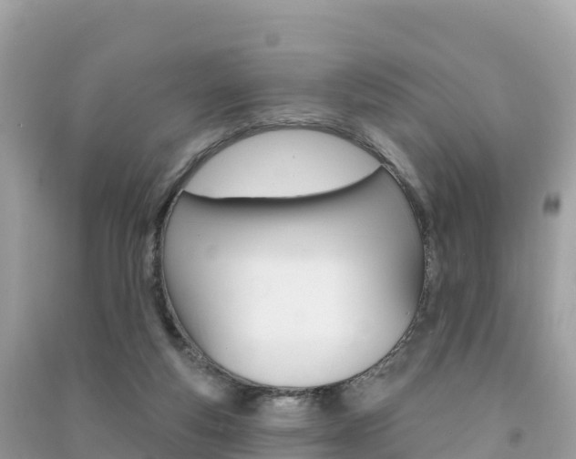 X0000091310163200708101116