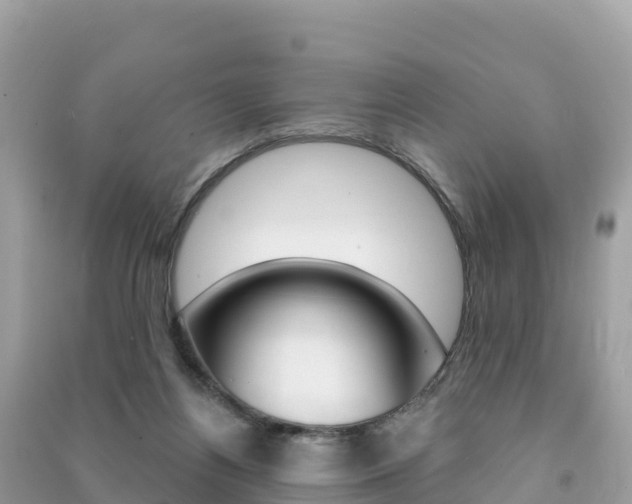 X0000091310164200708101116
