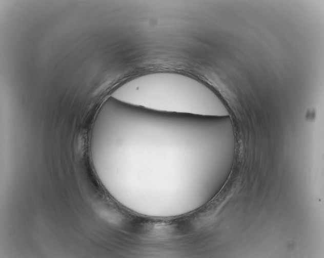 X0000091310165200708101116