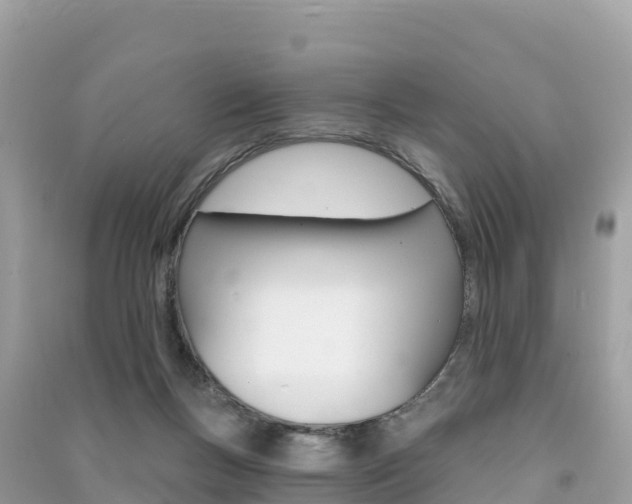 X0000091310167200708101116