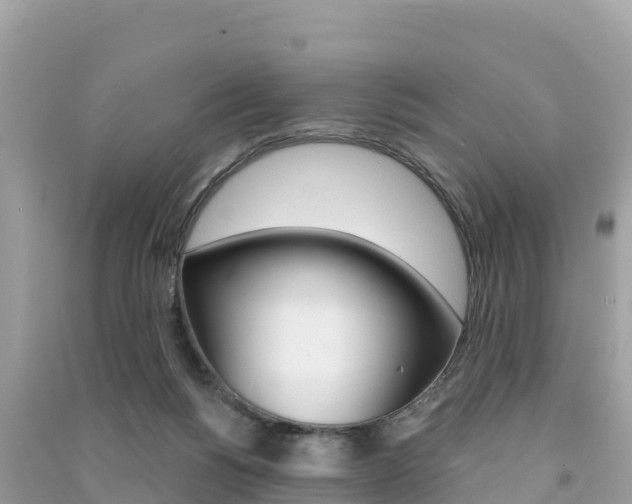 X0000091310168200708101116