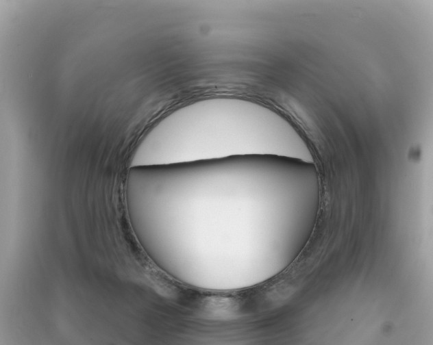X0000091310169200708101116