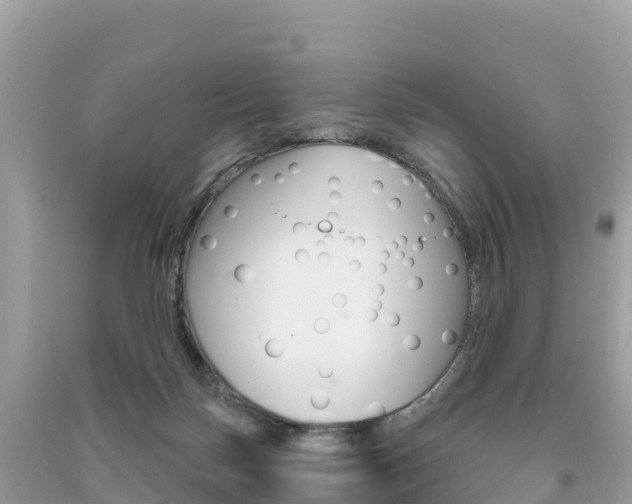 X0000091310171200708101116