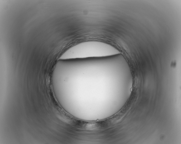 X0000091310173200708101116
