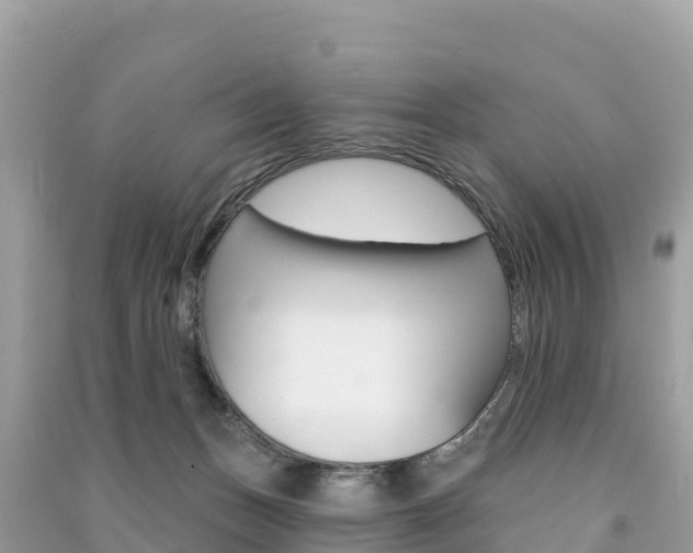 X0000091310175200708101116