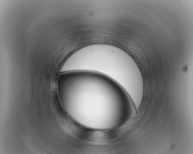 X0000091310176200708101116