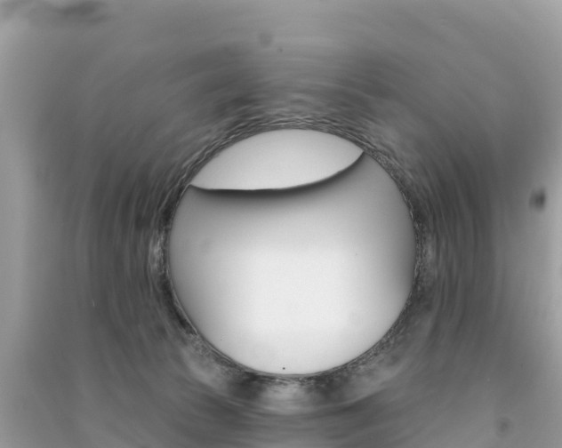 X0000091310177200708101116