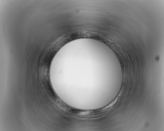 X0000091310178200708101116