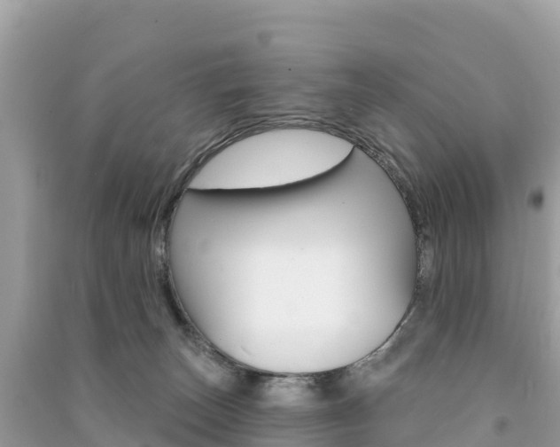 X0000091310179200708101116