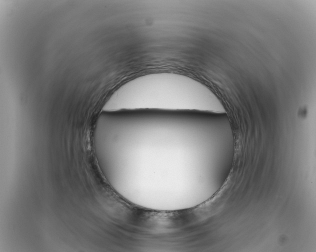 X0000091310182200708101116