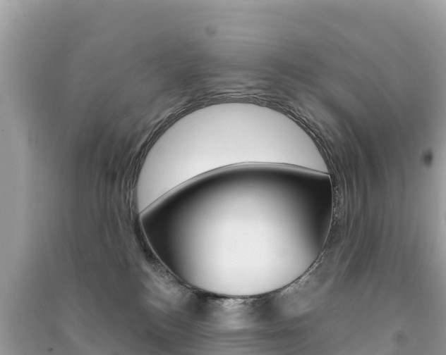 X0000091310184200708101116