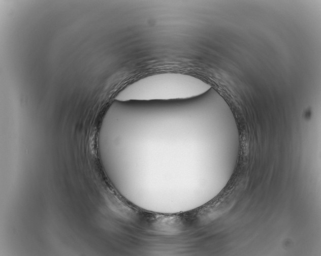 X0000091310185200708101116