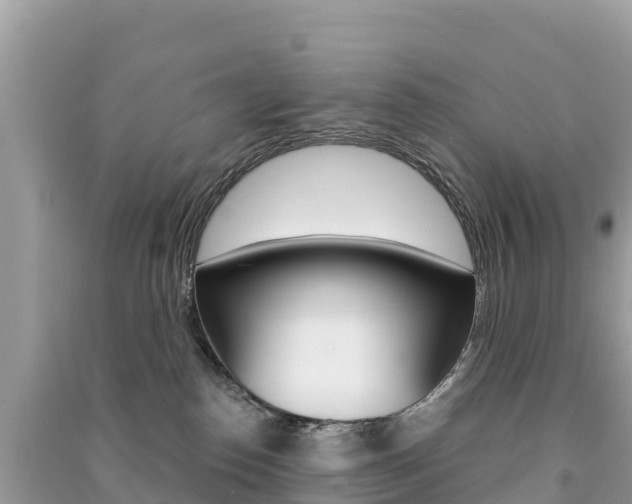 X0000091310186200708101116