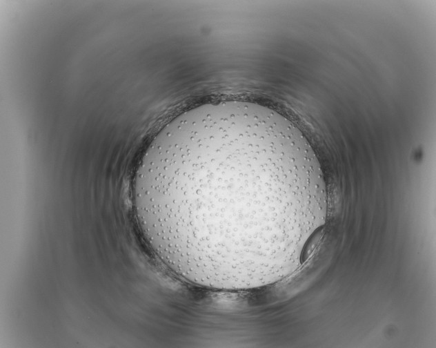 X0000091310187200708101116