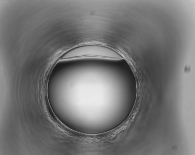 X0000091310193200708101116