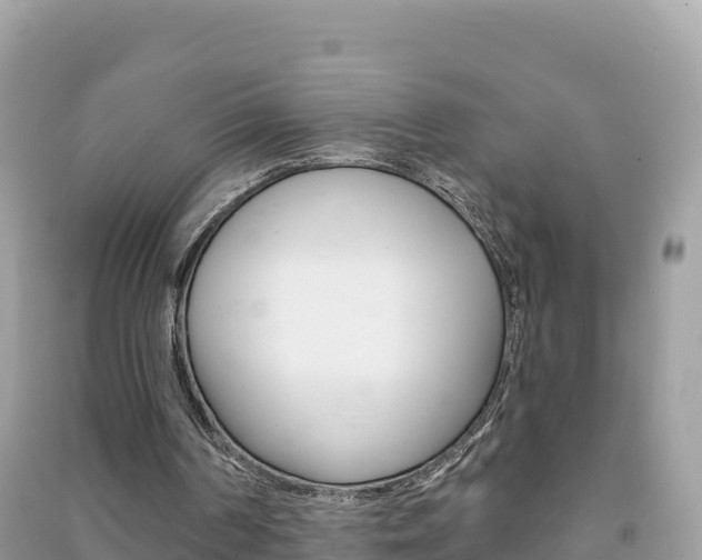 X0000091310194200708101116