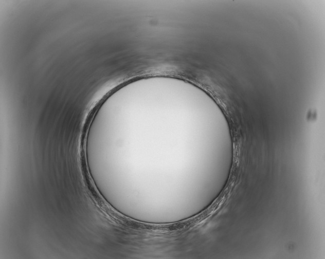 X0000091310196200708101116